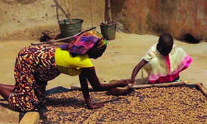 Photo of a  woman and child sorting and drying groundnuts.