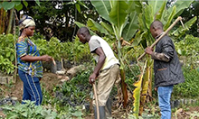 Photo of a woman and two men working with farming tools in front of trees and plant beds. 